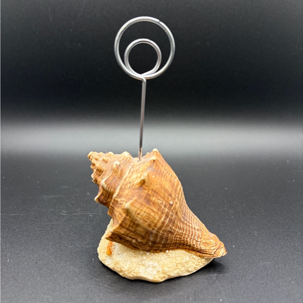 Seashell Photo Holder with Silver Accent